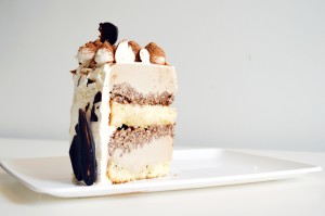 Tiramisu Ice Cream Cake 4